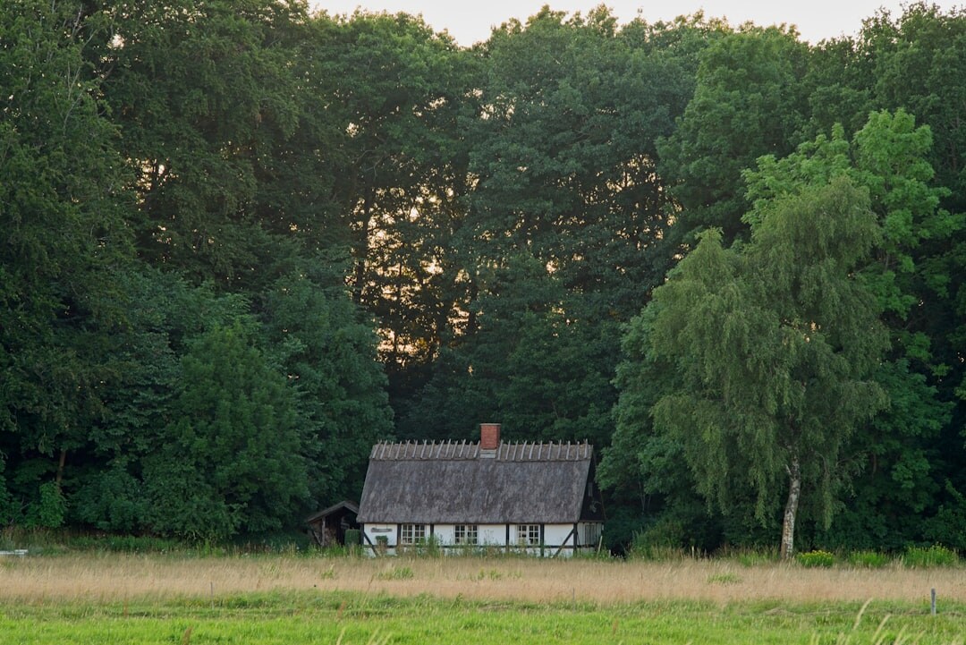 Rural Danish countryside with a white church and open fields